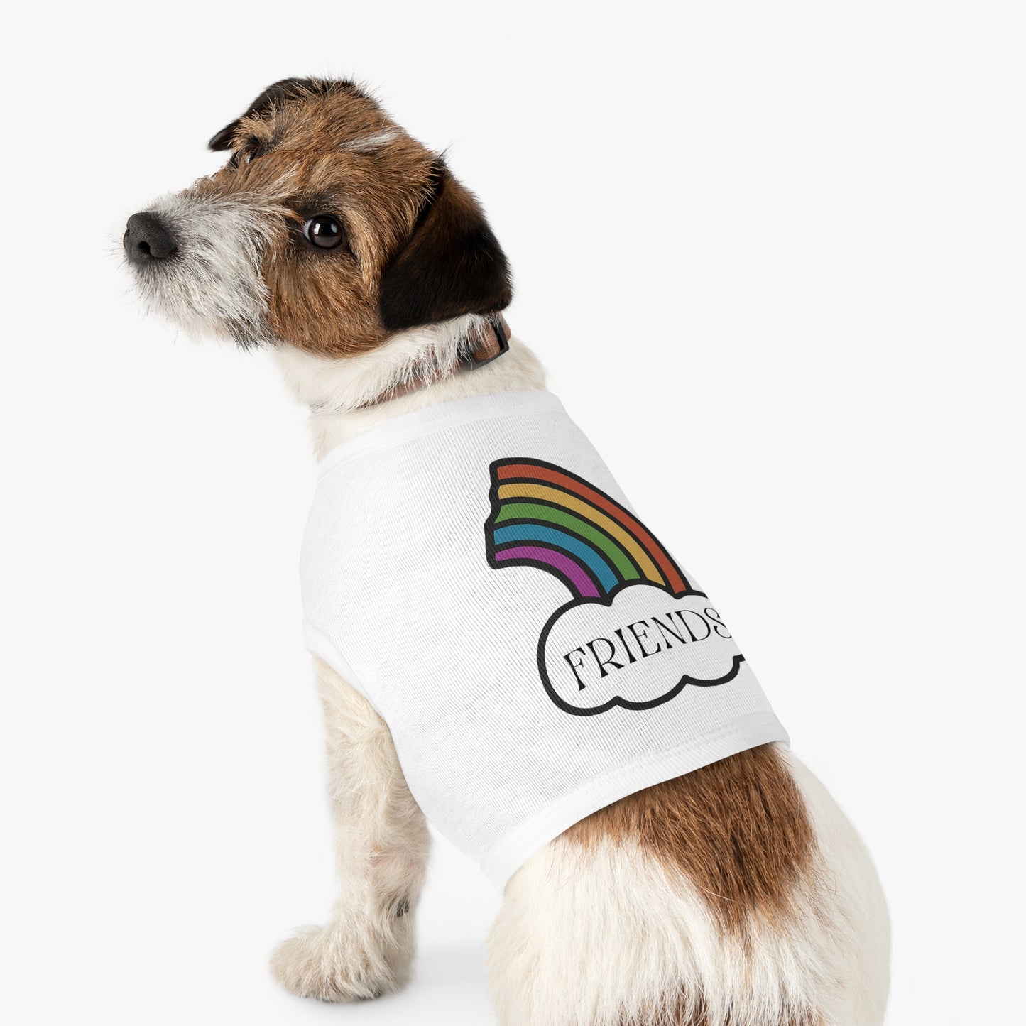 Best Friends Pet Shirt Half a Rainbow Edition