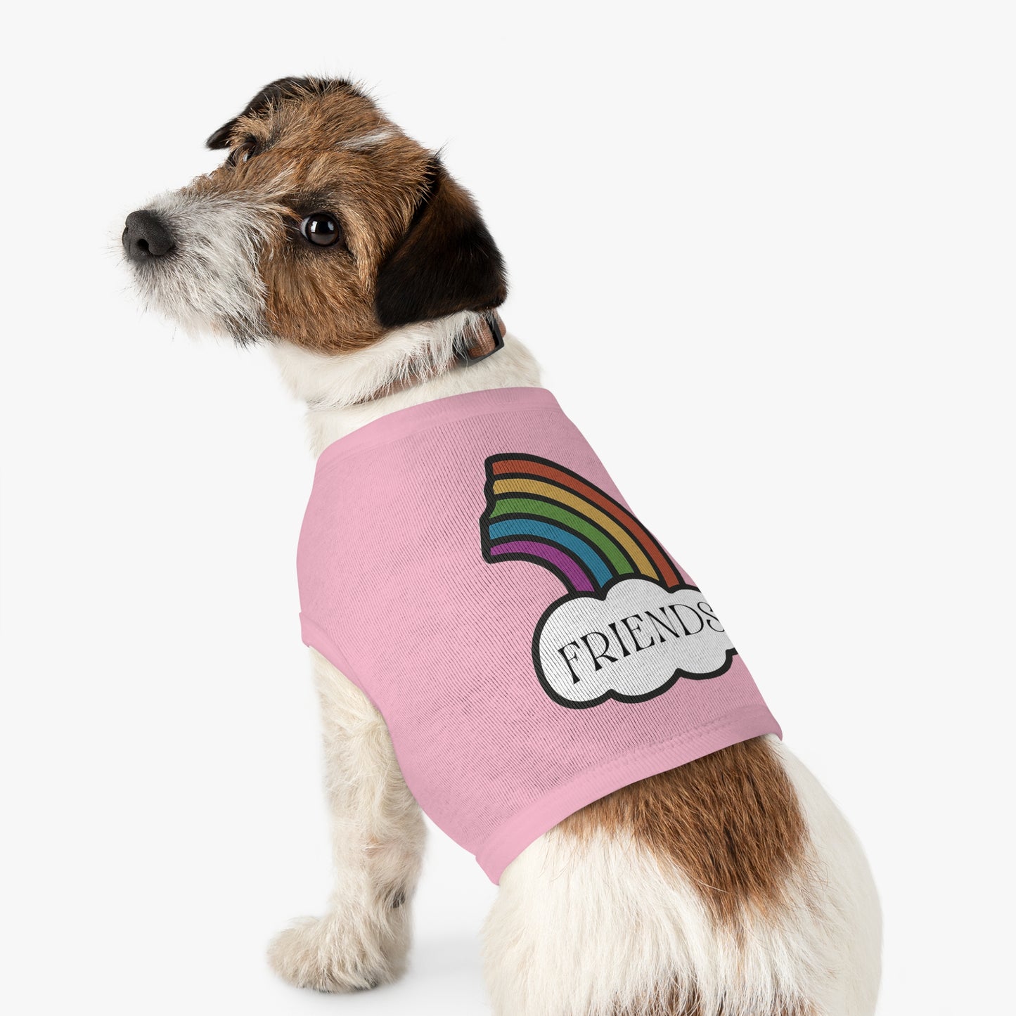 Best Friends Pet Shirt Half a Rainbow Edition