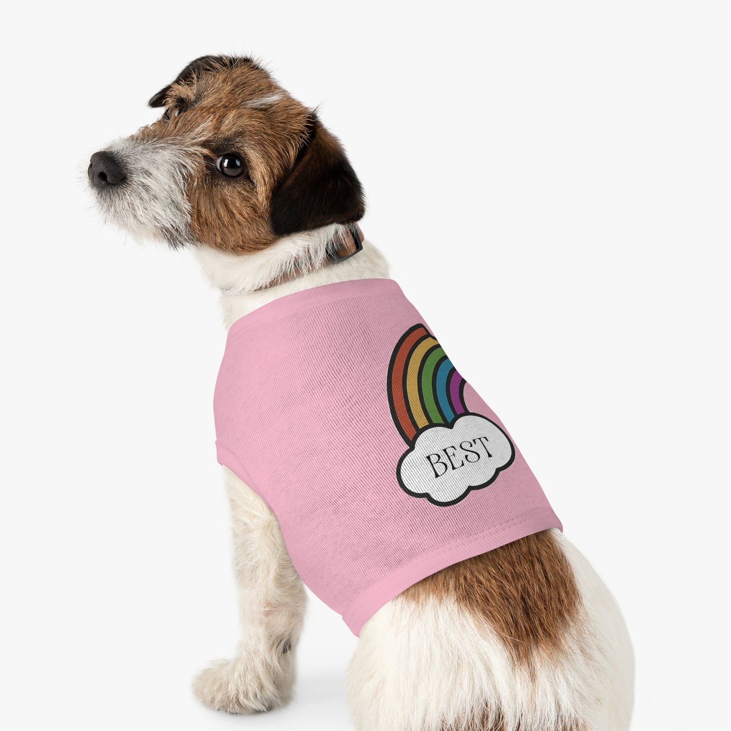 Best Friends Pet Shirt Half a Rainbow Edition